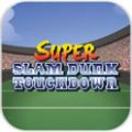 °׿棨Super Slam Dunk Touchdown v1.3.4