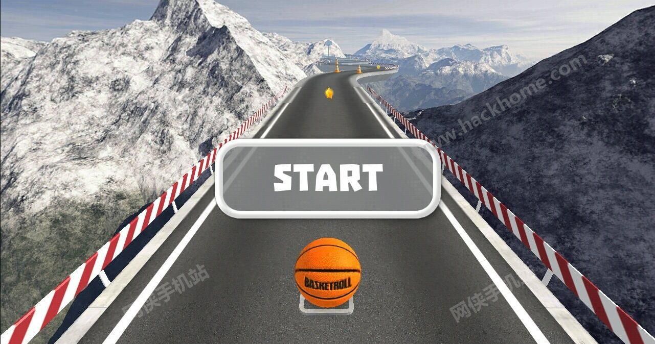3DLΑٷ׿(Basket Roll 3D)D4: