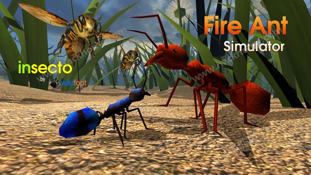 模拟火蚁官方IOS版（Fire Ant Simulator）图2: