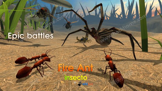 ģϹٷIOS棨Fire Ant Simulatorͼ4: