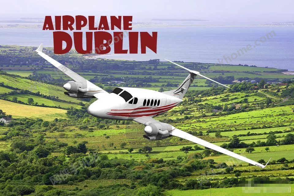 wԽĝhُƽ棨Airplane DublinD4: