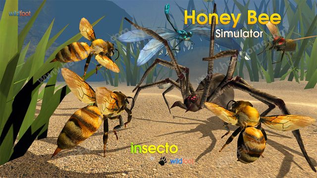 ۷ģ°׿棨Honey Bee Simulatorͼ2: