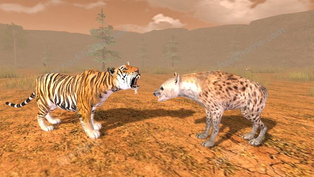 ϻ3Dĺ׿棨Hungry Tiger 3Dͼ2: