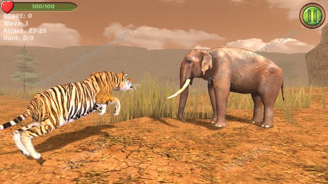 ϻ3DϷٷֻ棨Hungry Tiger 3Dͼ3: