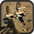 ݼĺƽ棨Birds Hunting Sniper Season v1.0
