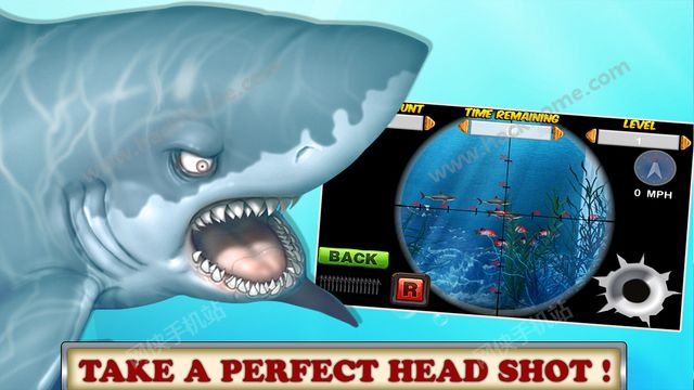 ˮ¼2024Ϸٷֻ棨Hungry Shark Underwater 2024ͼ4: