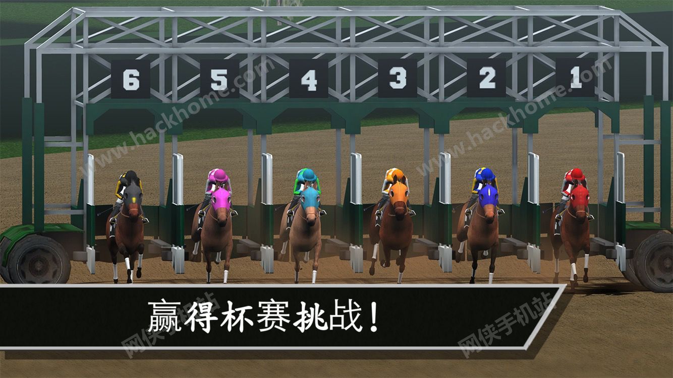 Ӯñս°׿(Photo Finish Horse Racing)ͼ1:
