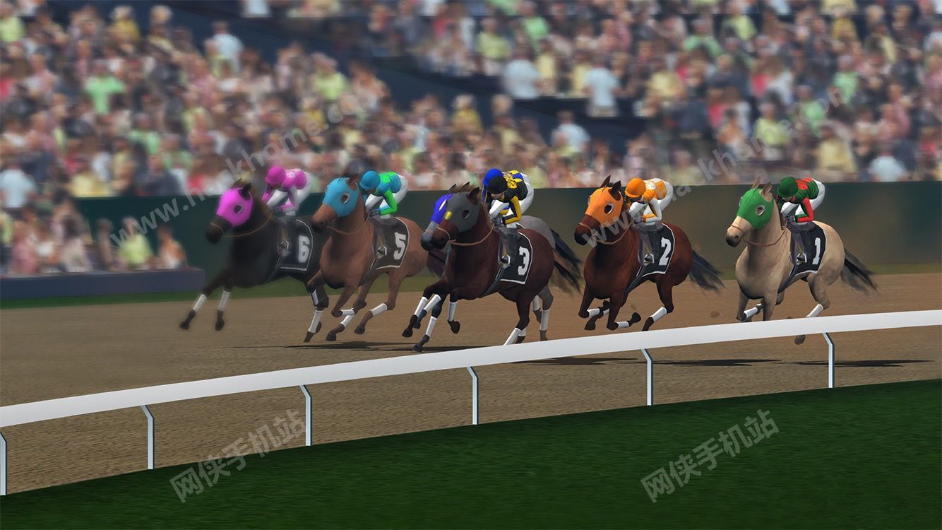 Ӯñս°׿(Photo Finish Horse Racing)ͼ2: