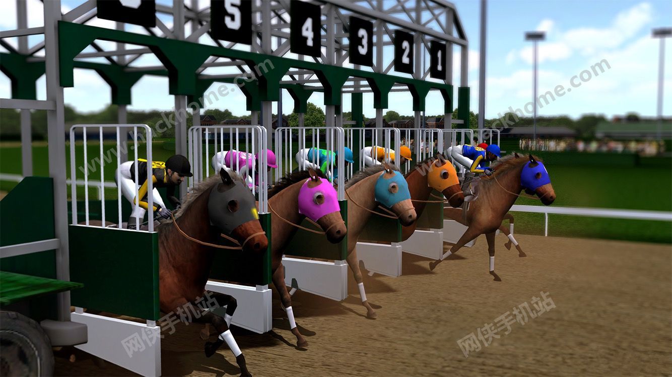 Ӯñս°׿(Photo Finish Horse Racing)ͼ4: