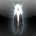 Dark MeadowiOSİ׿ v1.1.1