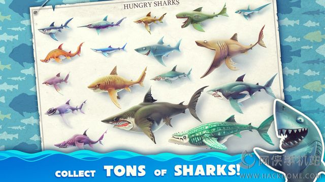 Hungry Shark WorldԴȫ[ͼ]ͼƬ4