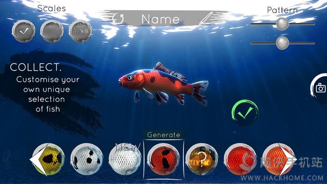 ҵС~[پW׿棨My KoiD2: