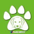 NȮappٷ v1.7