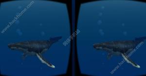 VR[D3