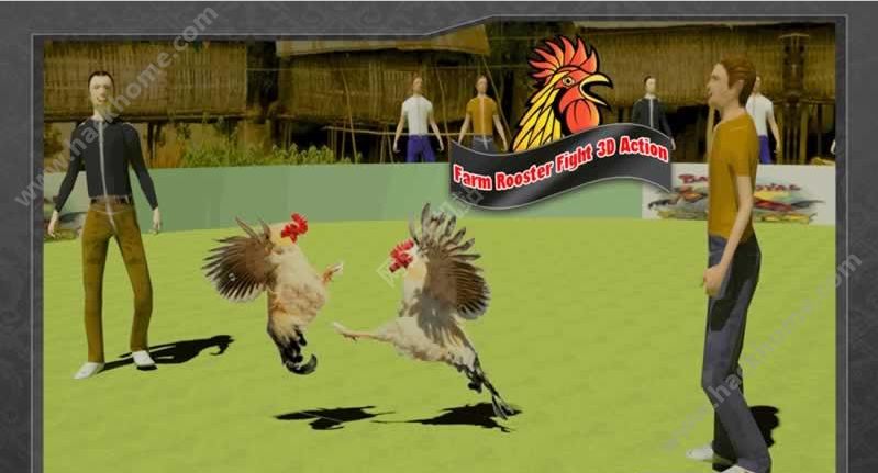 רҵϷ°׿棨Farm Deadly Rooster Fightingͼ3: