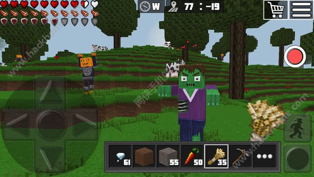 w[׿dWorld of Cubes Survival CraftD4: