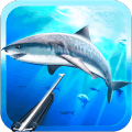 3Dƽ棨Spearfishing 3D v1.0