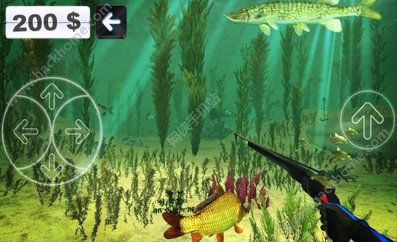 C3Dhİ׿棨Spearfishing 3DD3: