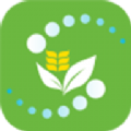 rSdپWapp v1.0
