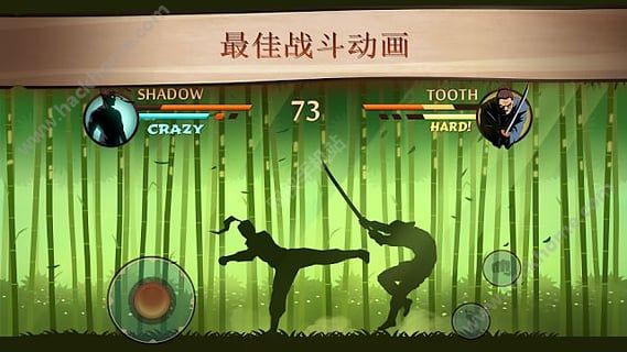 Ӱ21.9.24ҹٷ°棨Shadow Fight 2ͼ1: