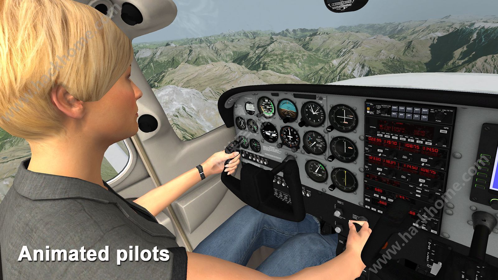 ģ°׿棨Aerofly 1 Flight Simulator ݰͼ1: