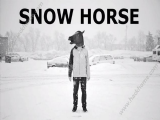 ѩ°׿棨Snow Horse v1.0
