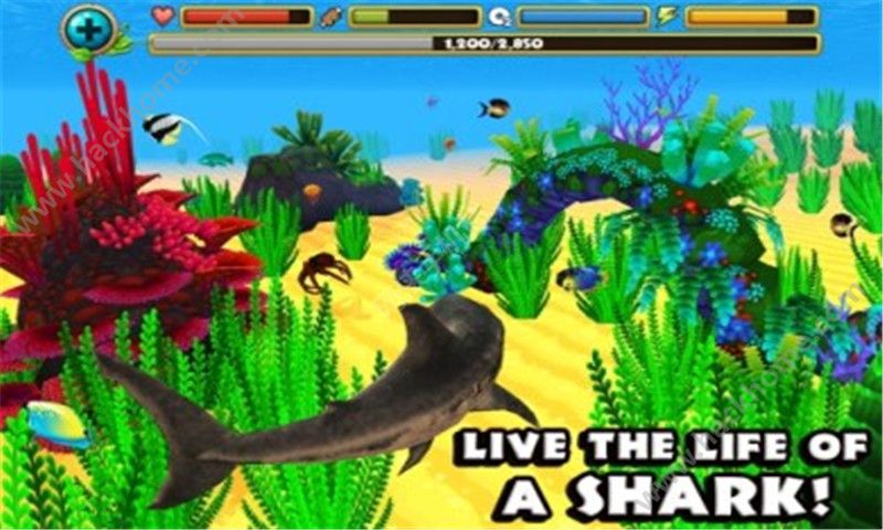 ģM~ُƽ棨ultimate shark simulato D3: