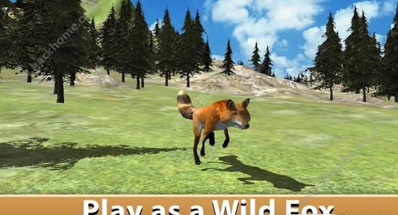 ҰģM2024İ׿棨Wild Fox Simulator 2024D4: