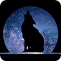 ɲŮòֻapp v3.1