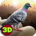 ֮ģ°׿(City Bird Pigeon Simulator 3D) v1.0