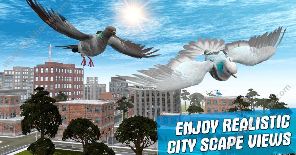 ֮ģ°׿(City Bird Pigeon Simulator 3D)ͼ1: