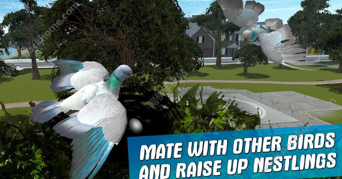 ֮ģ°׿(City Bird Pigeon Simulator 3D)ͼ2: