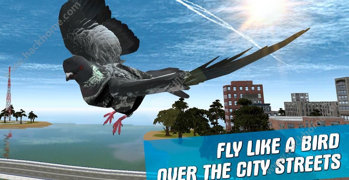 ֮ģ°׿(City Bird Pigeon Simulator 3D)ͼ3: