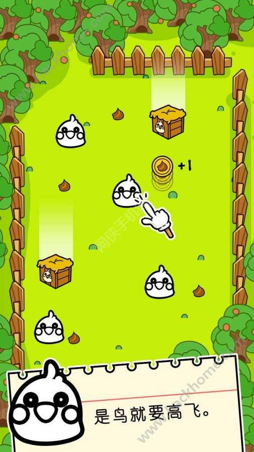 ͻ�������°�׿��(Bird Evolution)ͼ2: