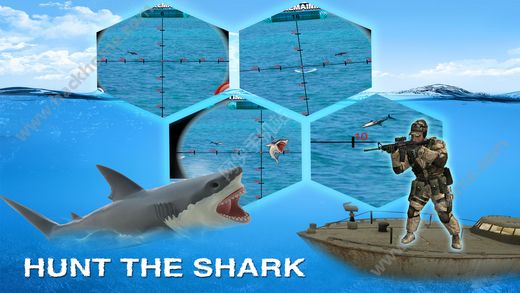 ̹˽°׿棨2024 Hungry Shark Tank Attack ͼ2: