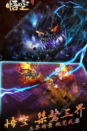 [D4