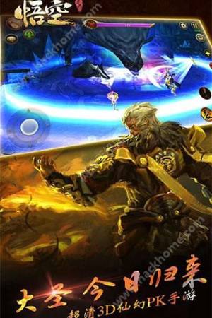 [D5