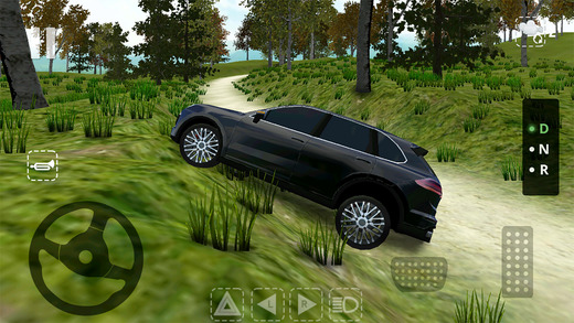 Offroad Cayenne֙C[D5: