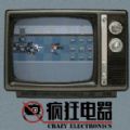 ׿ڹƽ棨Crazy Electronics v1.0