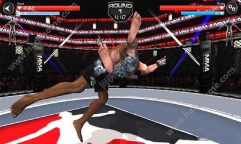 Ynͻĝh׿棨MMA Fighting ClashD4: