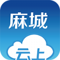 云上麻城官网app下载 v1.0.4