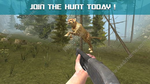 Ұ2024Ϸֻ棨Wild Hunter 2024ͼ4: