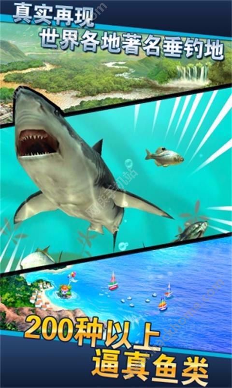 㷢2.3.1ٷ°汾Ace Fishingͼ1: