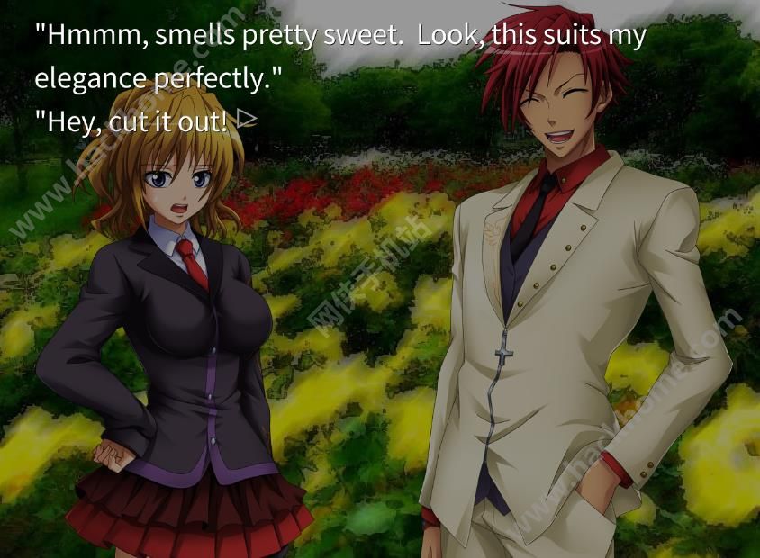 è֮ʱֻϷٷ棨Umineko When They Cryͼ1: