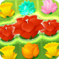 ��԰������Ϸ��׿�棨Puzzle Paws�� v1.10.5
