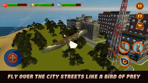 зӥģ3D޸ƽ棨City Eagle Simulator 3D Fullͼ1: