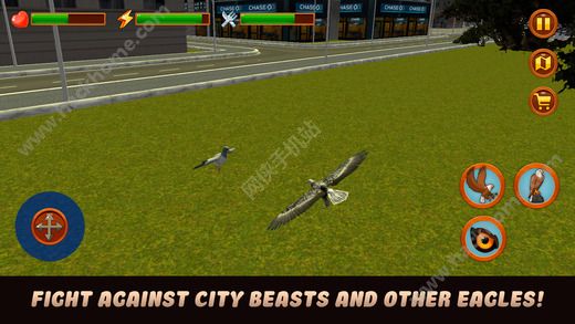 зӥģ3D޸ƽ棨City Eagle Simulator 3D Fullͼ3: