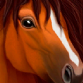 ��ʵҰ��ģ�����°�׿�棨UltimateHorse�� v1