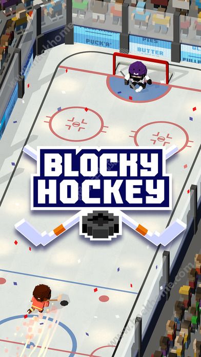 Kܿ[֙C棨Blocky HockeyD2: