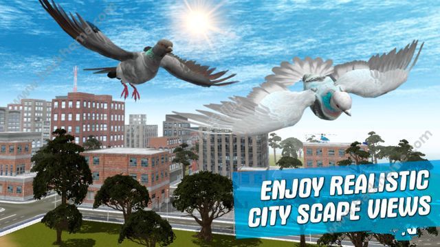 ֮ģ3D޽ڹƽ棨city bird pigeon simulator 3dͼ1: